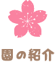 ̏Љ